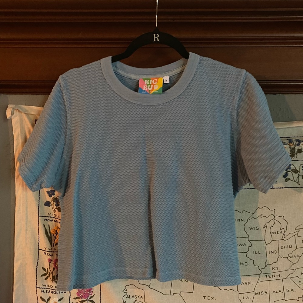 big bud press honeycomb tshirt baby blue